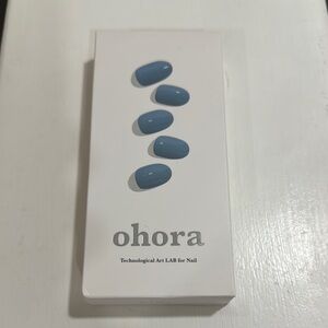 Ohora Blue Nail Art Set